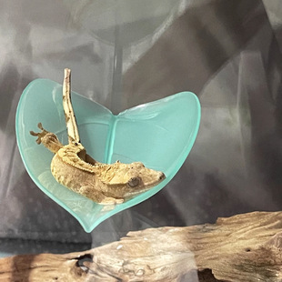 �����䗫�Ҹ��C�޽��،m�Ѡ����ܶ���������P�����~�����ָ��쾰