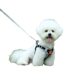 Dog Traction Rope Vest Small Dog Chest Strap Reflective Breathable Adjustable Bixiong Chest Strap Dog Walking Rope