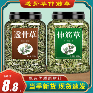 ����͸�ǲ�500g�˲���Ş������������؛��ˮ��Ұ��