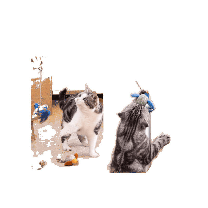ペットの猫のおもちゃ、模擬鳥の音、小さなスズメの猫の退屈を和らげる猫の吊り下げ式セルフエンターテイメントアーティファクト|undefined