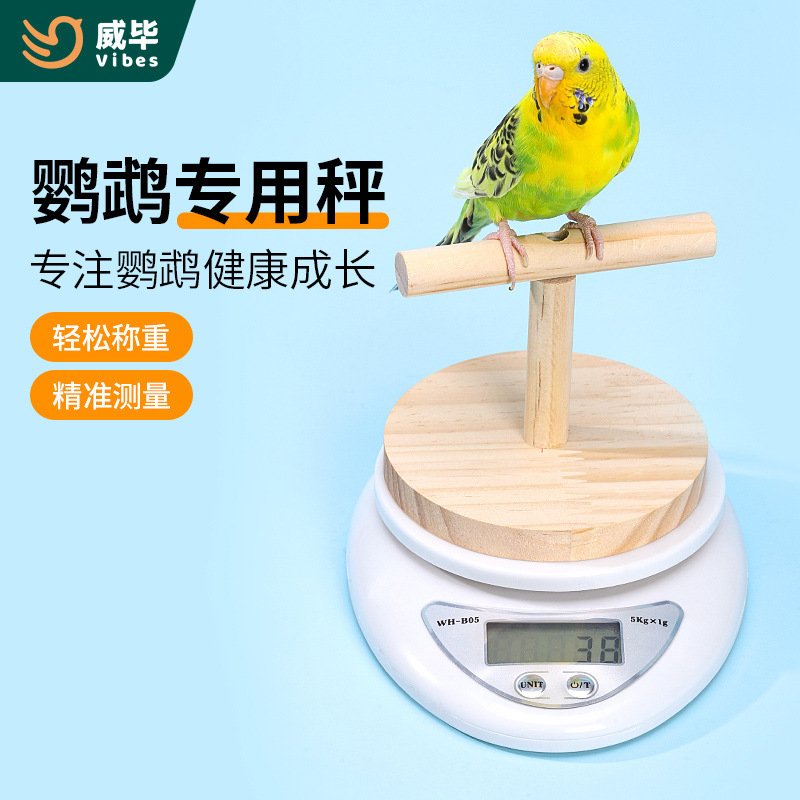 Parrot Weighing Scale Electronic Scale Parrot Milk Powder Scale Bird Food Medicine Feeding Scale Xuanfeng Tiger Skin Peony Bird Pigeon Special