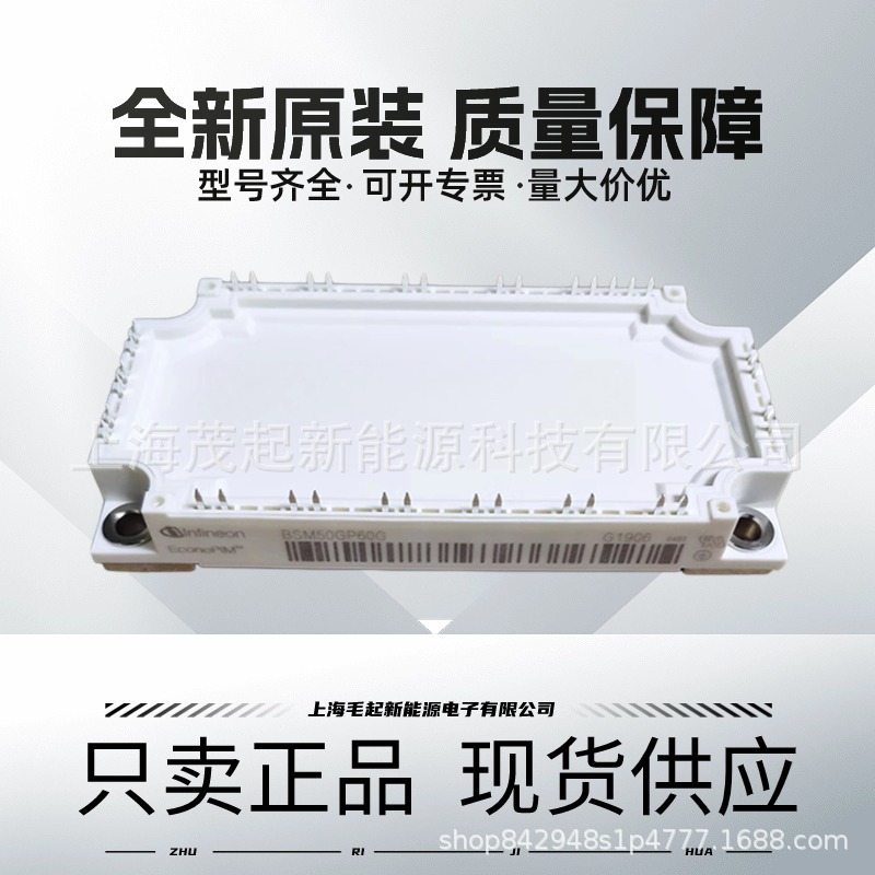 BSM50GP60 BSM25GP120 BSM30GP60 BSM35GP120 BSM15GP120_B2