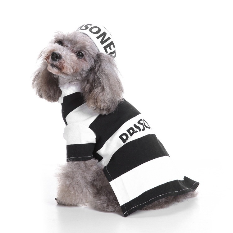 国境を越えたペット服を提供するアメリカ独立日ペット服は犬服の独立日の祝日の服装を責める|undefined
