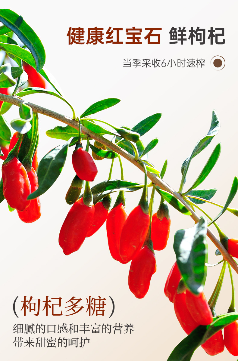 Cistanche and Goji Berry NFC Fresh Juice Oral Liquid 500ml Herbal Wellness Drink quality and texture