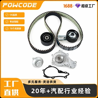 适用于标致雪铁龙DV6C 1606948980汽车正时修包含水泵张紧轮