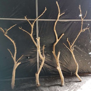 Artistic Dried Branches and Logs, Dead Branches, Tree Trunks, Birdhouse Shapes, Wall-Mounted Coat Racks, Ceiling Branch Decorations