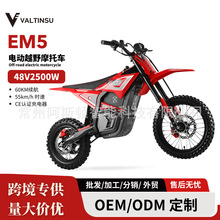 ��ó�¿�Valtinsu Em5�綯Ħ�г�2500W��ˢ���ȫ���γ���ԽҰ��