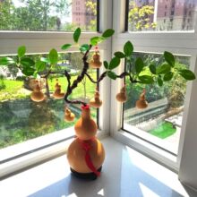 ��Ȼ���J���J�ކ��w�_�I�����k������������ֹ��͏d��ؔ�����[��