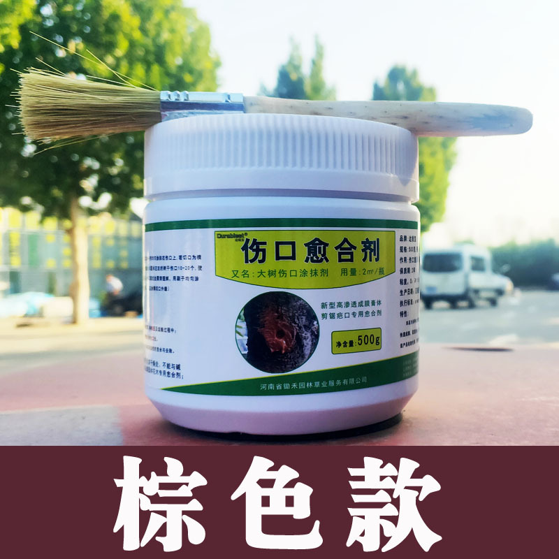 브라운 500g/병
