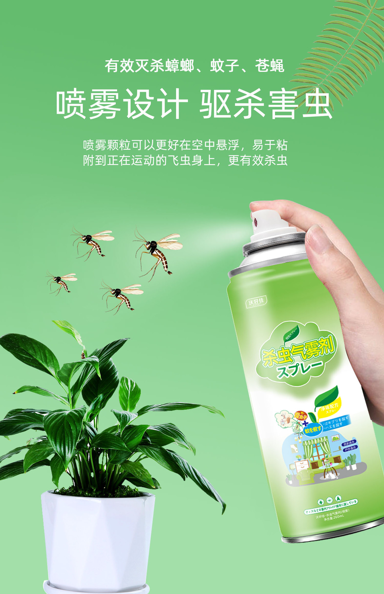 详情02.jpg