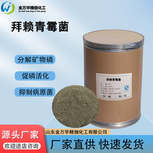 加工定制拜赖青霉菌生物菌肥活菌含量咨询客服土壤改善拜赖青霉菌
