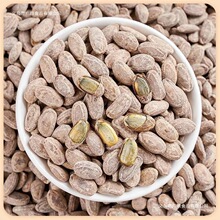 ��؛�����Ӵ��w������ζ���b�Թ��Qɢ�b��؛�ǹ��V�����e��ʳ���l