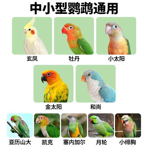 Budgie feed small and medium-sized parrot universal mixture bird food grain shelled feed yellow millet bird food