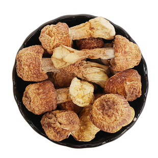 ��ϼ����׏S��ֱ�N���l�o���؛�خa���w���۰���Ģ���Ҝ�ʳ��