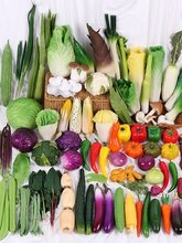 �߲�ˮ��ģ�ͼ���˼t����������ĭ�����}���Ϲ��b[������