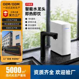 直饮饮水机即热式冷热双出水水龙头管线机速热净水龙头健康饮水