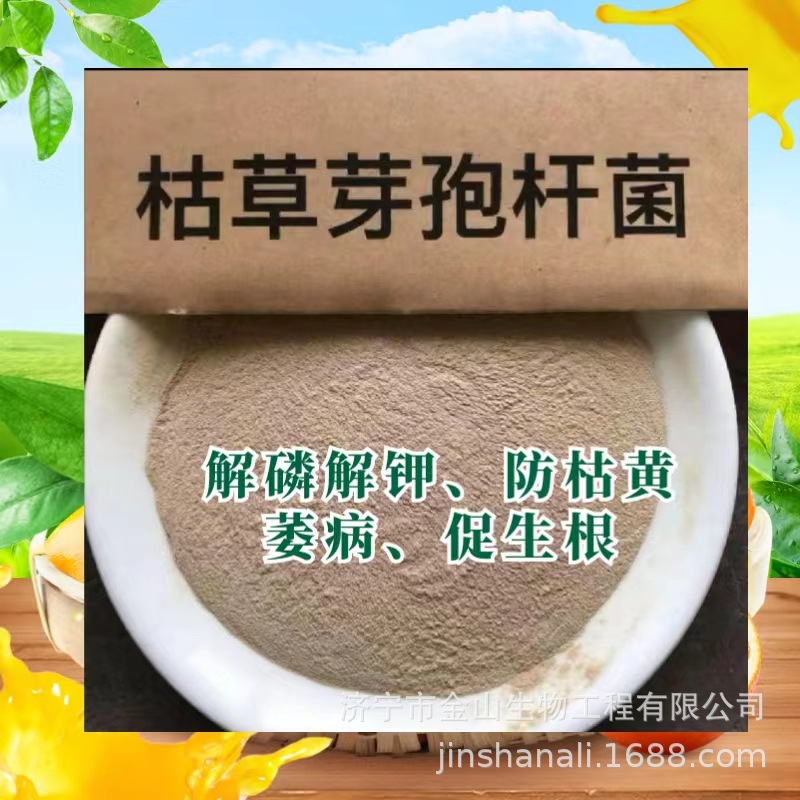 批发枯芽孢杆菌 适用肥料饲料添加 水产养殖