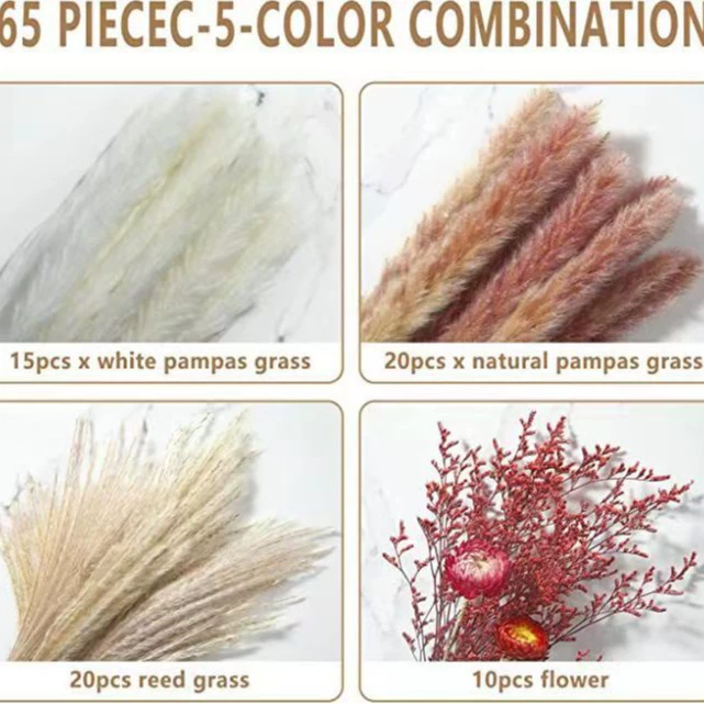 Organic set, wholesale, high-quality style