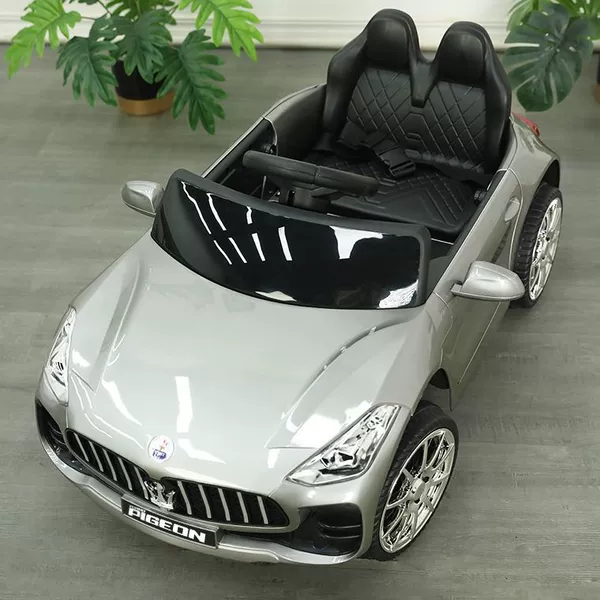 Painted ash: Dual drive [all functions of leather seat] Dual super lithium battery