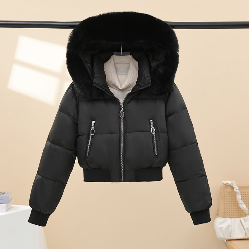 2025 invierno nuevo cuello de lana casual versátil ropa de algodón mujer con sombrero corto abrigo de algodón con sombrero nuevo abrigo