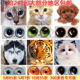 动物眼睛珠子材料包装饰配件diy猫眼兽瞳扭扭龙眼珠人偶羊毛毡