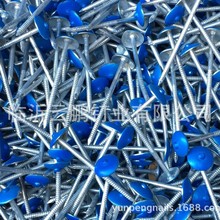 ��ɫ����� 2&ldquo;XBWG9,2.5"XBWG9,3"XBWG9   �����z�|Ƭ