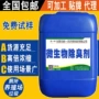 除味生物气味植物菌种