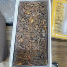 ���ڸ����t����β����600�˅��ȅ����Ѕ����������a�Ҝ���