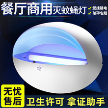 {ɭωճʽß͏dӟnω