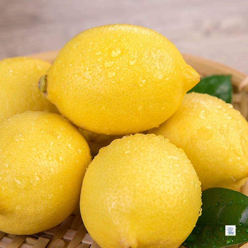 Новый фруктовый экспортный сорт Anyue желтый лимон 2.5kg свежих фруктов, только что собранных и замоченных в воде ломтиках лимона