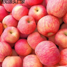 ���l��̨�t��ʿ�����O�������Į������rˮ����������l�Sһ�����l