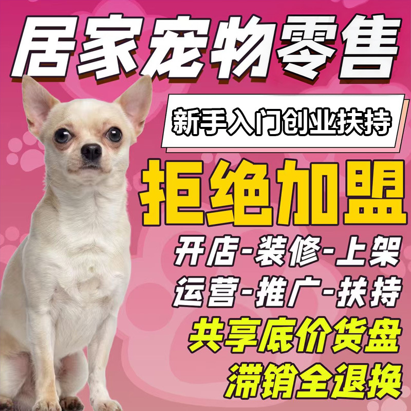 Pet supplies for home entrepreneurship, local store sourcing, JD.com Dragonfly Island cat litter, bentonite cat litter, deodorizing and clumping 3