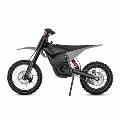 Cross-Border Use, Elektrikli motosikletlər