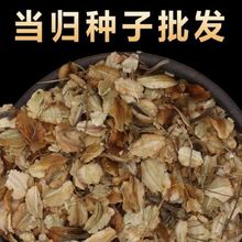 ���x���w�N��Ұ����ș�������Ѯ��w�N����ș�ķNֲ������h���N��