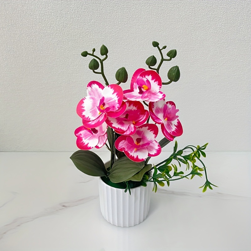 로즈 레드 엣지 (높이 28*폭 18CM)