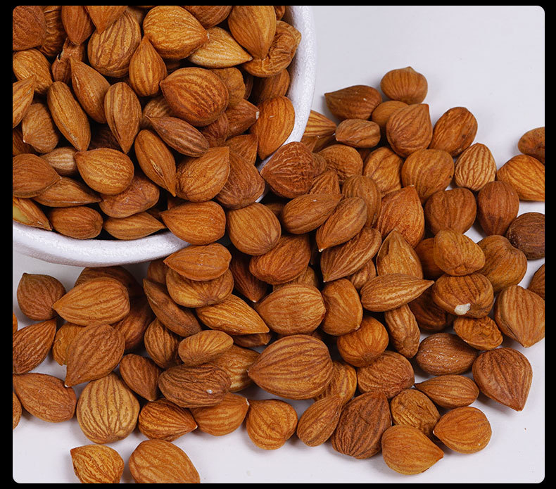 Bitter Apricot Kernels (Prunus armeniaca) — Dried Peeled Nan Xing for TCM & Culinary Use in use