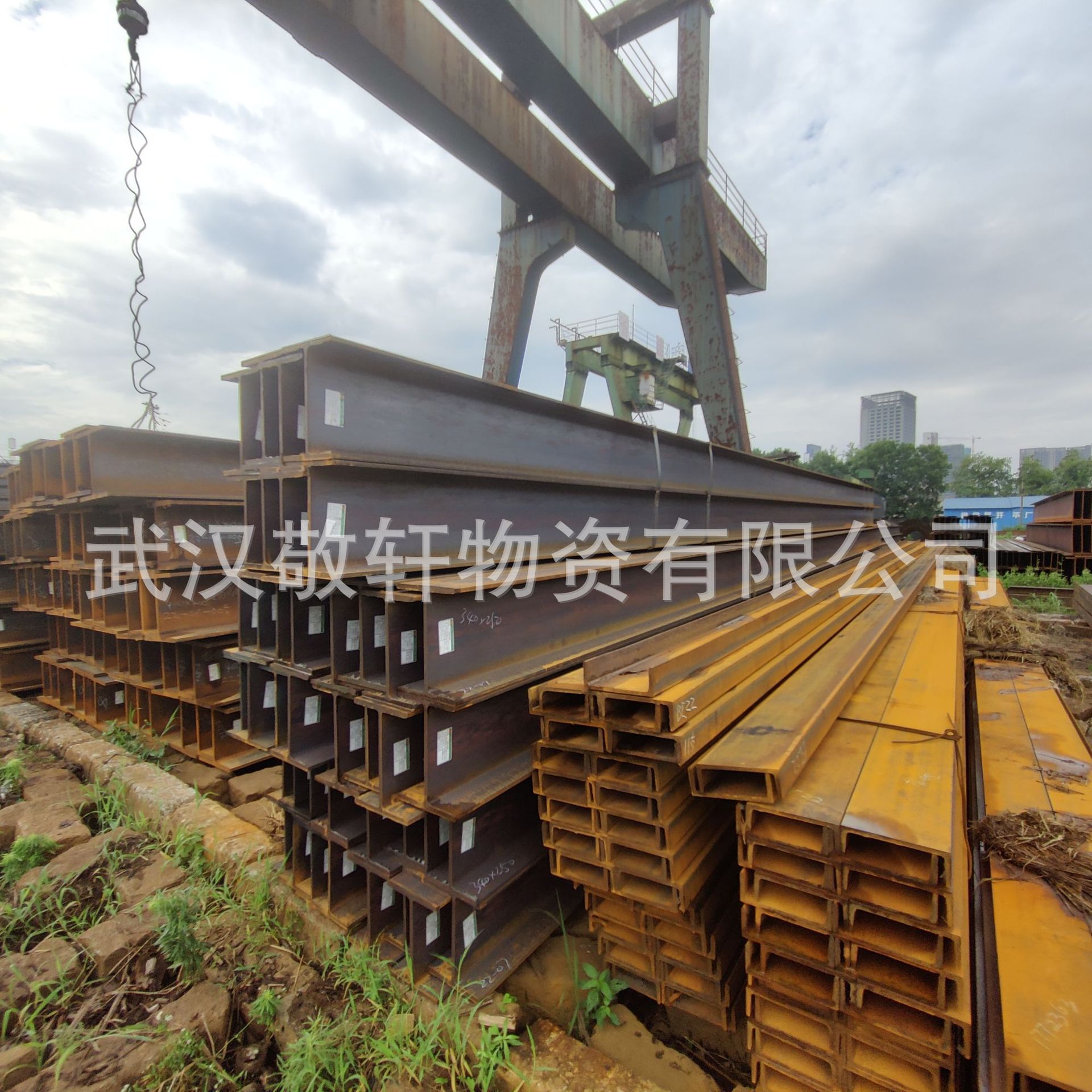 长期批发H型钢Q235B446*199*8*12