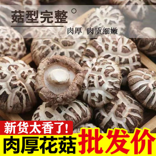 ���x������؛ ���]�ľ������؛�����񂀴�o�����㹽 ���l���l
