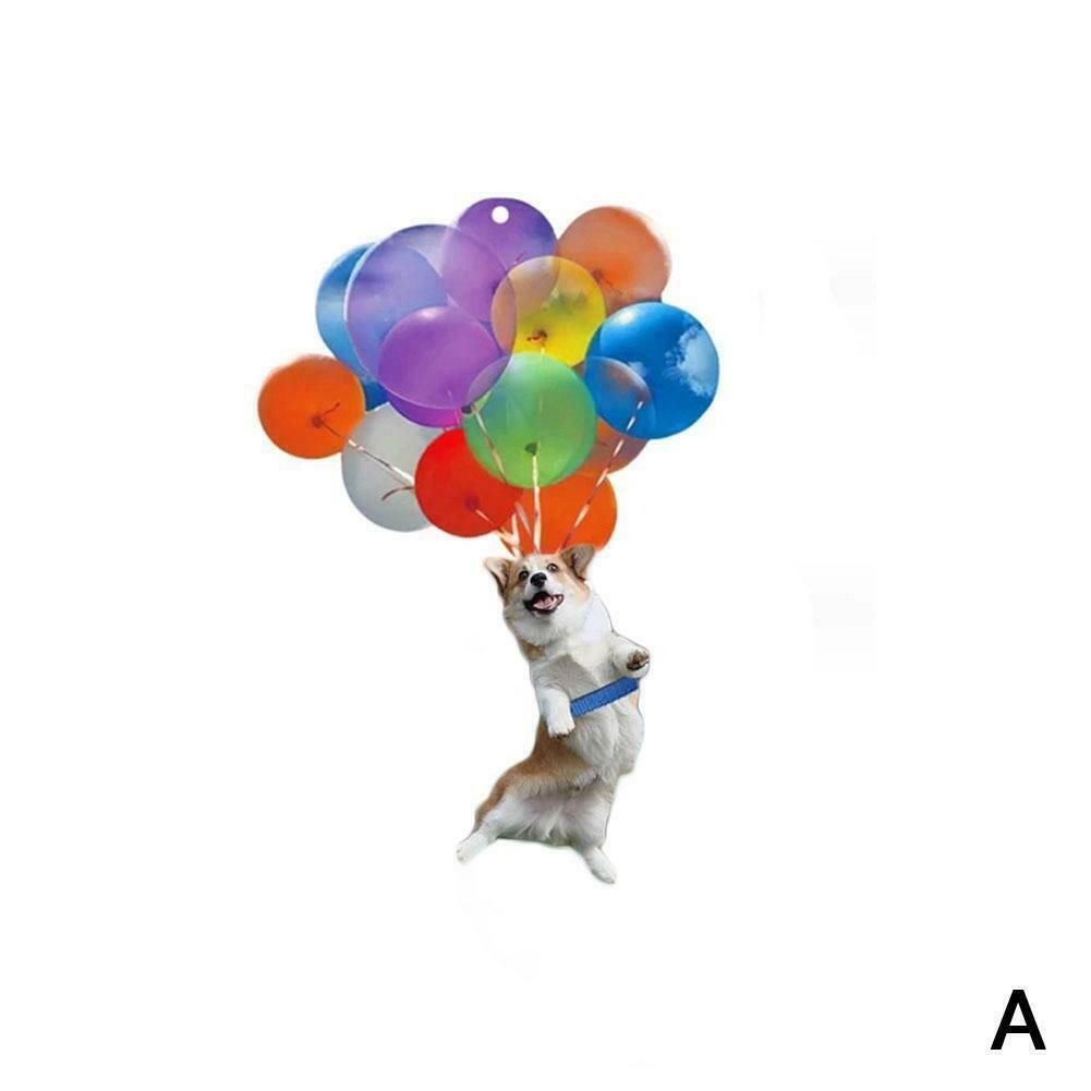 CAT CAR COLGANTE ORNAMENTO colgante de tortuga colgante de COCHE globo colgante de GATO volador