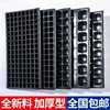 Acupoint disk Seedling tray Chinese rose Melon and fruit Cuttings Vegetables Cultivation grow seedlings Tray grow seedlings Nutrition Cup