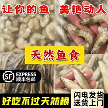 顺丰包邮金龙鱼食冻河虾冰冻虾喂鱼虾仁龙鱼魟鱼虎鱼饲料去头批发