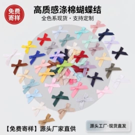 织带;其他纺织辅料;服装饰品