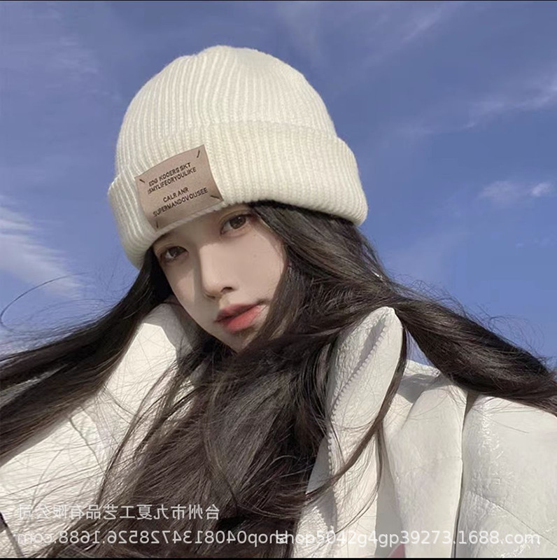 帽子男潮复古贴布情侣毛线帽女冬季日系保暖学生韩版护耳针织冷帽