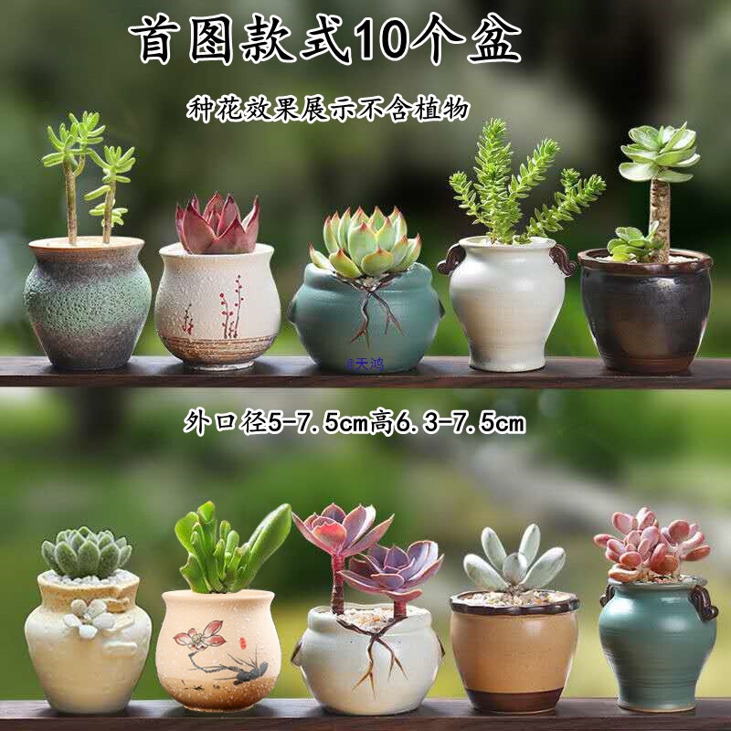 Succulent Flower Pot Ceramic Succulent Plant Stoneware Retro Plain-Fired Purple Sand Household Creative Size Simple