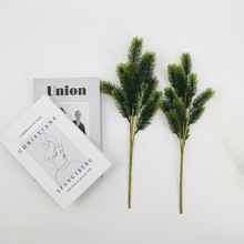 �S�����l�����ɘ�֦�ؘ�֦�Ȱ� �°��_�h�����������֦������֦