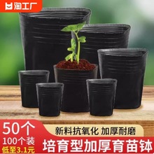 �I�B�����籭�I�B�����������ϼӺ�һ�����r�àI�B������������