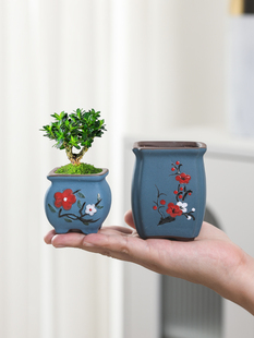 Purple Clay Flower Pot Ceramic Hand-Painted Floating Branch Old Stump Cliff Square Succulent Plant Mini Thumb Landscaping Potted Desktop
