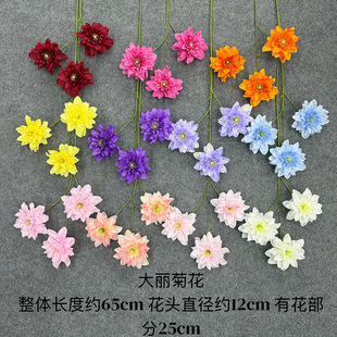 ��c�������ջ����滨��Y�È������üҾӾƵ��b羳���l���滨
