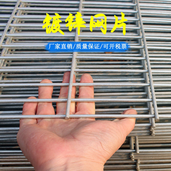 鸟笼铁丝网猪镀锌铁丝网网片加粗养殖电焊鸟笼商用围墙DIY