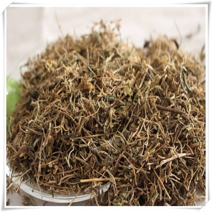 Dried Chui Pen Cao 垂盆草 Stringy Stonecrop Herb 500g Cut Slices for Traditional Herbal Decoction specifications